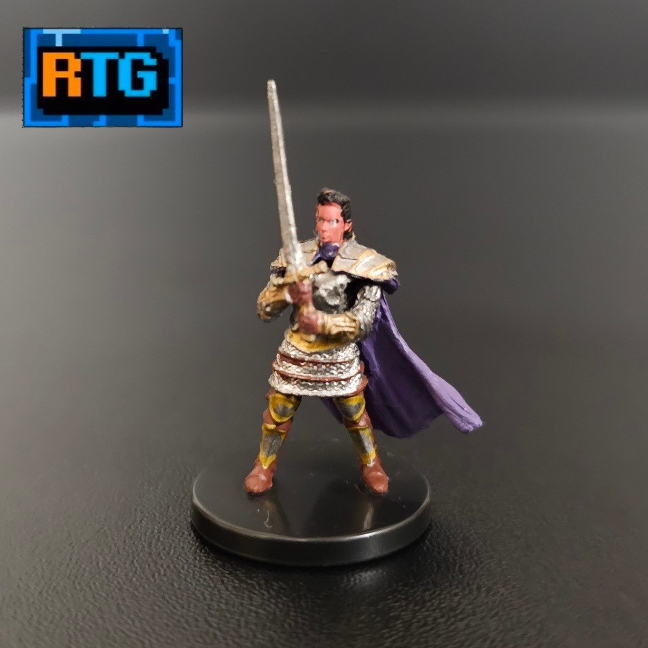 D&D Miniature - Human Paladin of the Oath of Vengeance #23 - Dungeons & Dragons