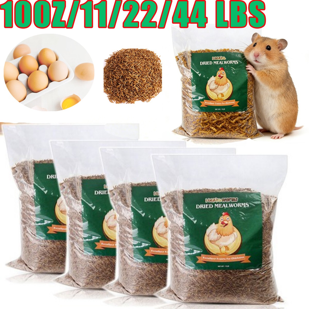 Bulk Dried Mealworms for Wild Blue Birds Hen Reptile Treats Non-GMO LOT