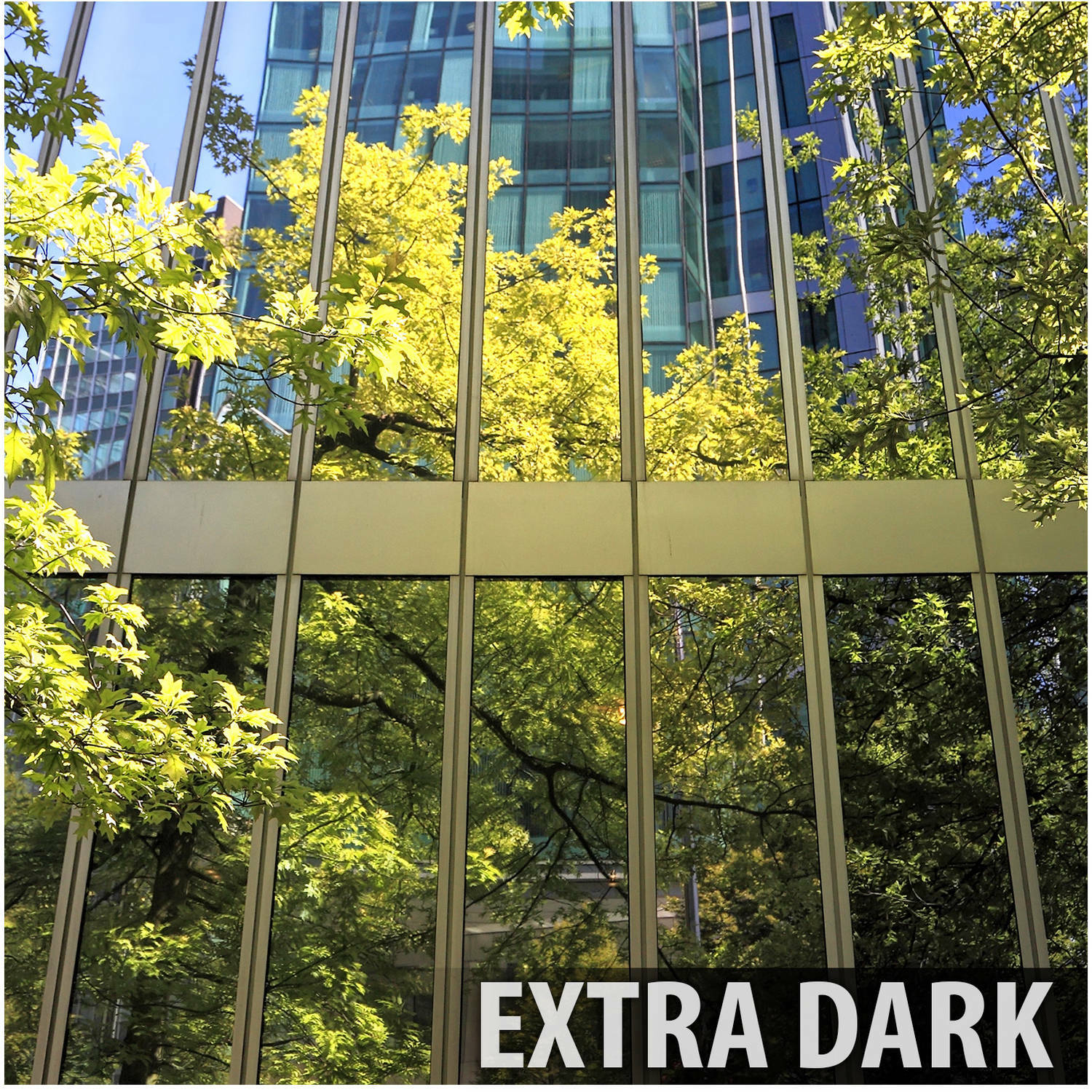 BDF S05 Window Film Daytime Privacy and Heat Control Silver 5 (Very Dark)