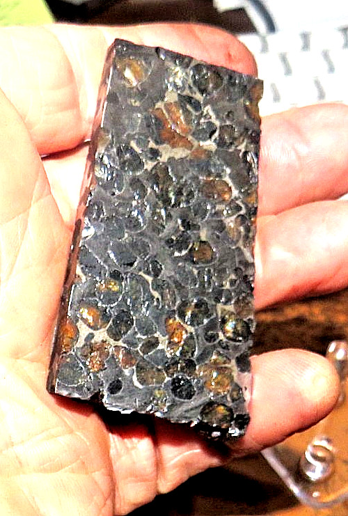 86 gm SERICHO pallasite Meteorite SLICE f/ Kenya stand olivine 6 sides