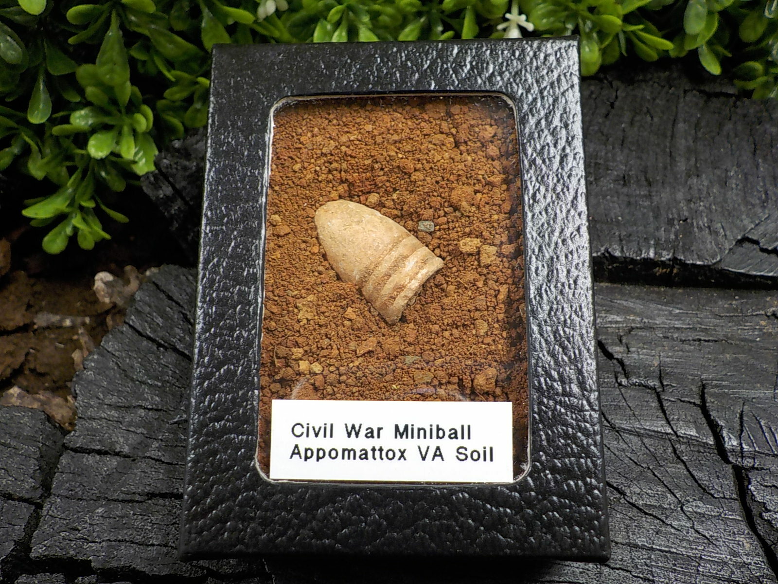 Old Rare Vintage Civil War Miniball in Appomattox Virginia Confederate Camp Soil