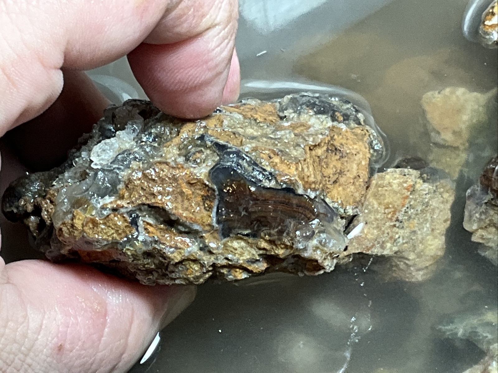 1/4 Pound Fire Agate Choice & Mid Grade Professionally Chosen Colorful Rough Lot