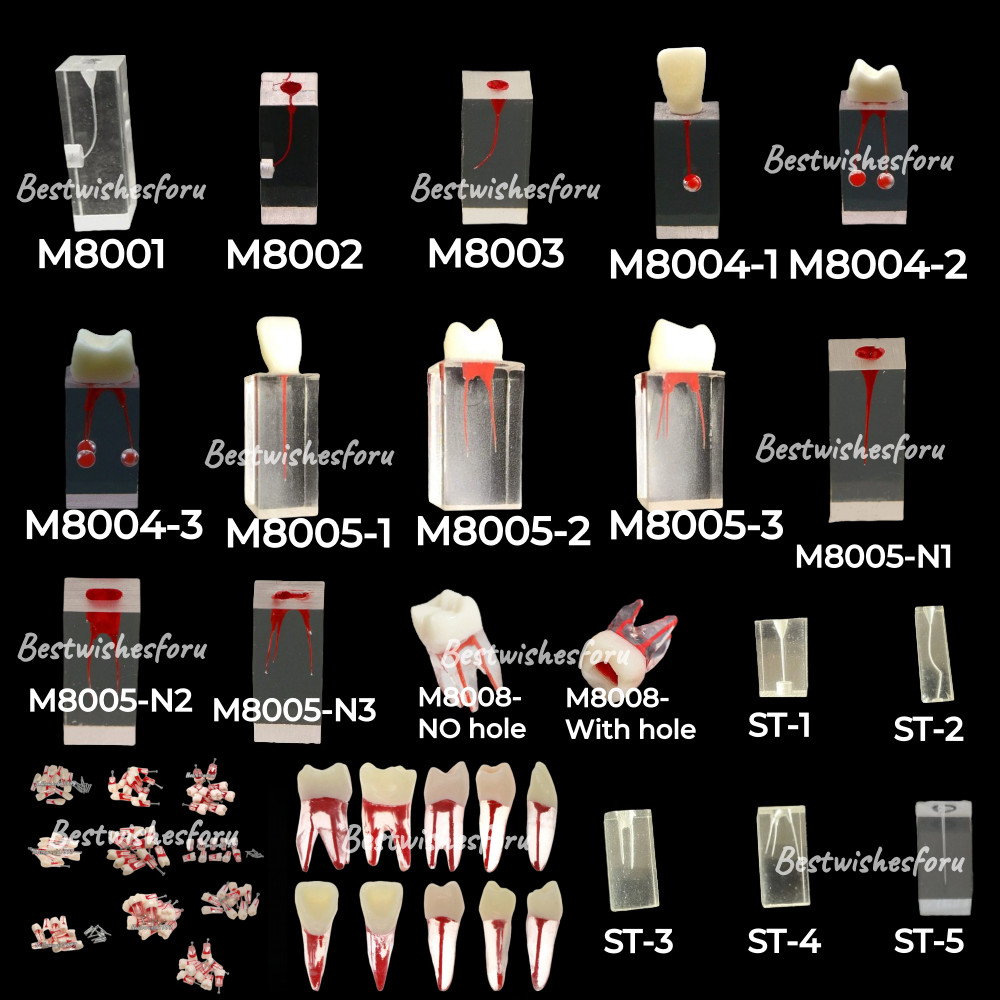 36 Sizes Dental Endodontic Root Canal RCT Practice Endo Teeth Tooth Model study