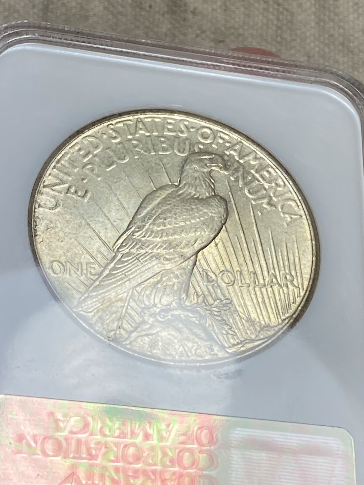 1925 Peace Dollar NGC MS 64 CAC No Barcode Fatty Nearly Full Holo Sticker