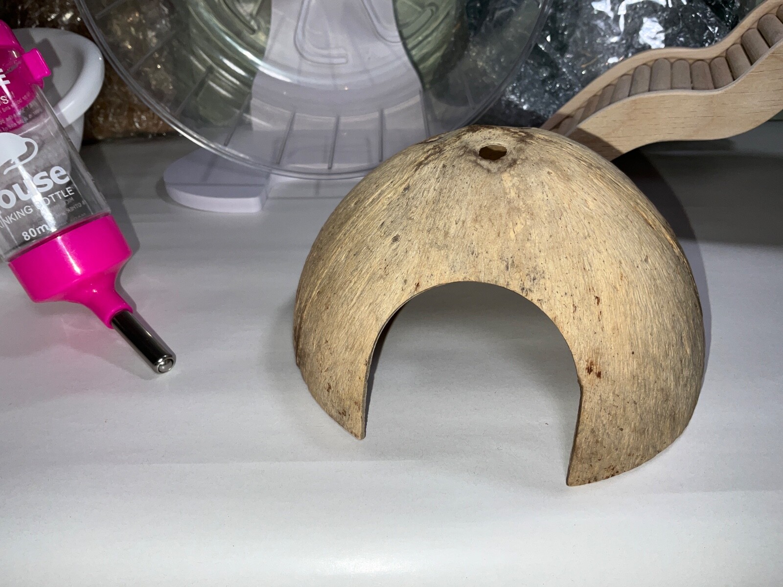 Hamster Wheel Set: Water Feeder, Coconut, Bathtub, Bridge, Rosee Blanche Ceramic