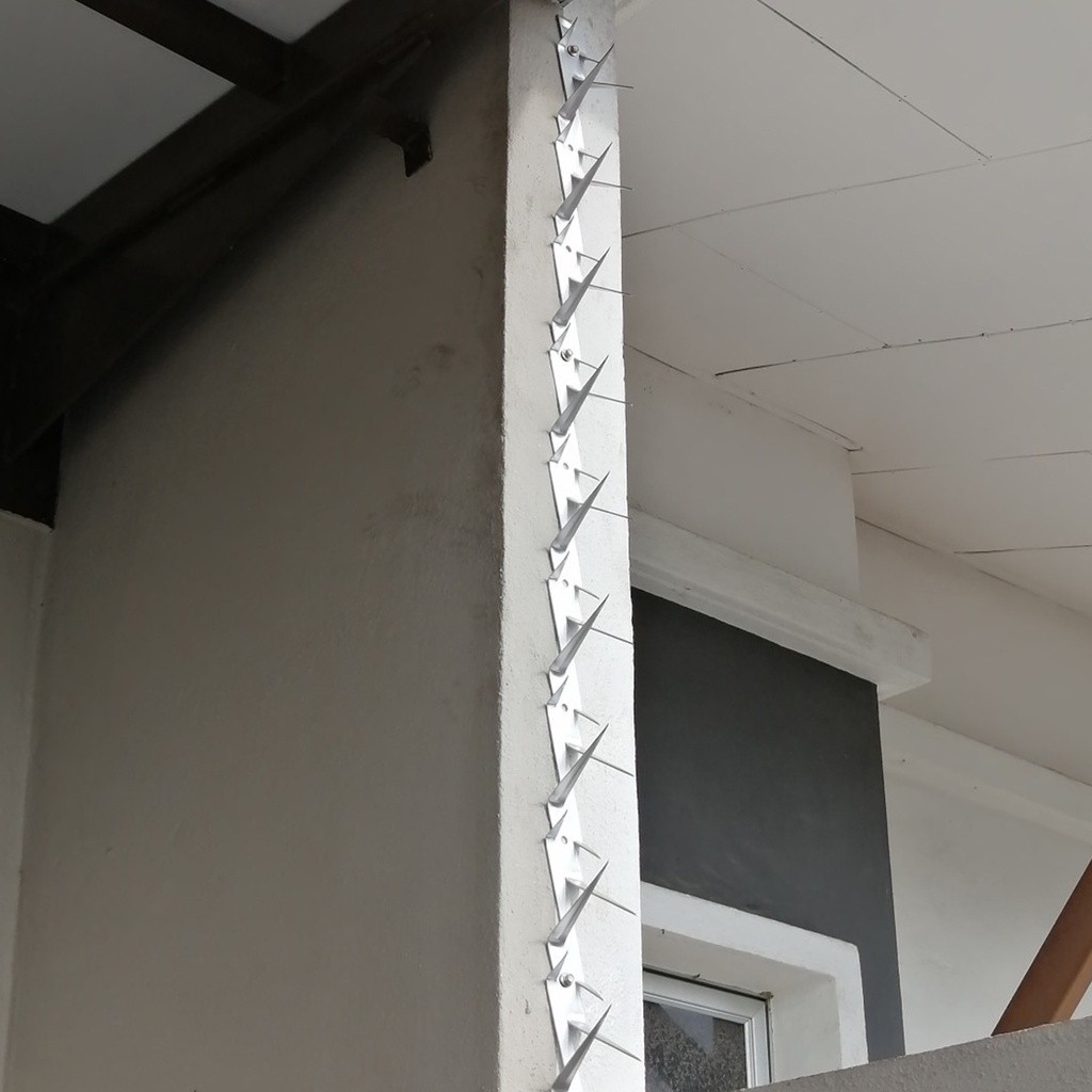 30 PCS Stainless Steel Security Wall Anti Climb Fencing Spikes Express Shipping
