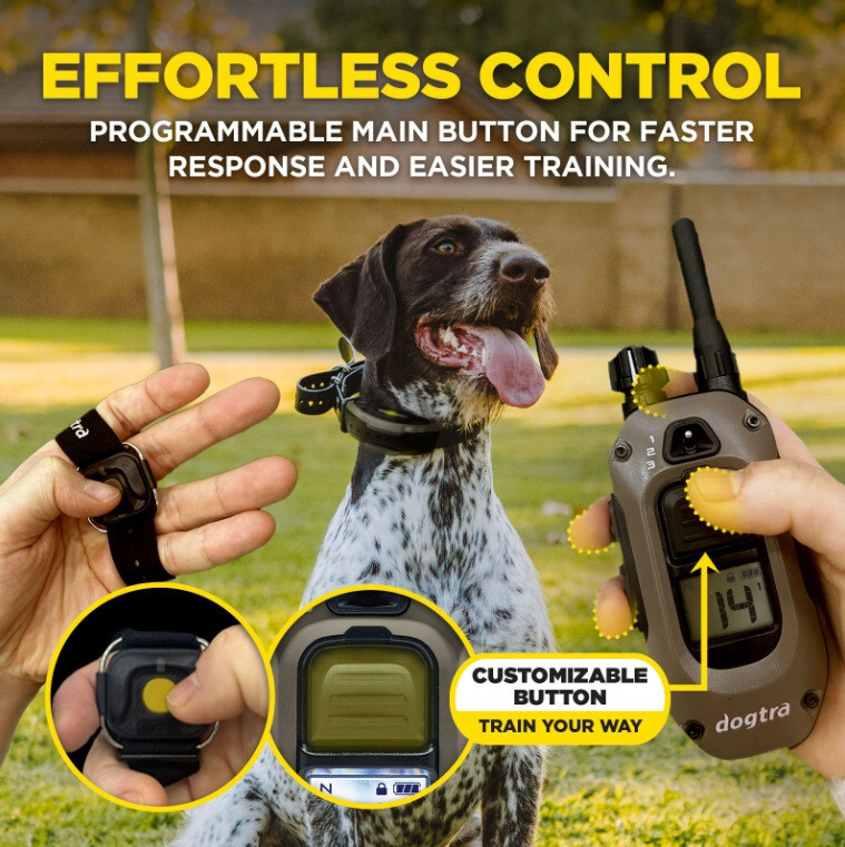 Dogtra 1900X HANDSFREE Dog Trainer Remote E-Collar 3/4 mi, Tone & XPP Vibration