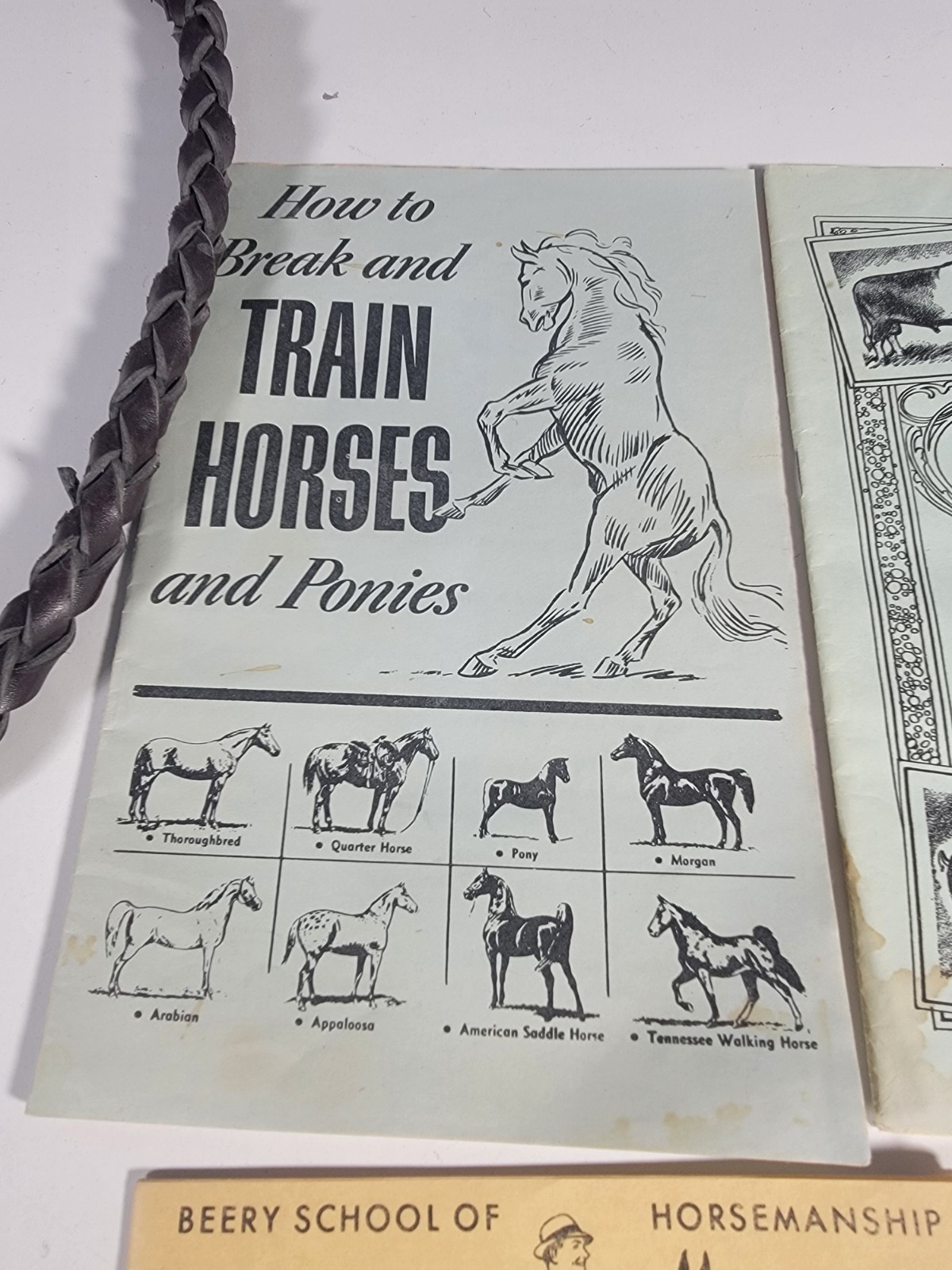 SET: VTG Genuine Brown Leather Bullwhip 100 inches Long Heavy Duty whip + 3 Book