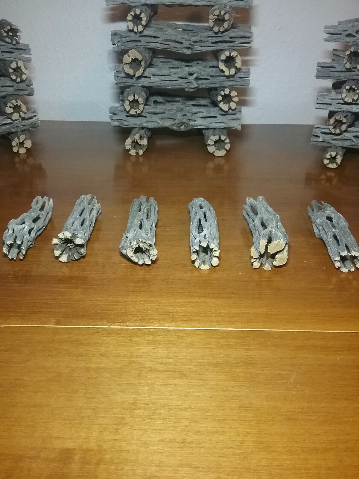 6 Pieces 3" inch CHOLLA Wood Cactus | Organic, Untreated | Shrimp Aquarium NICE!
