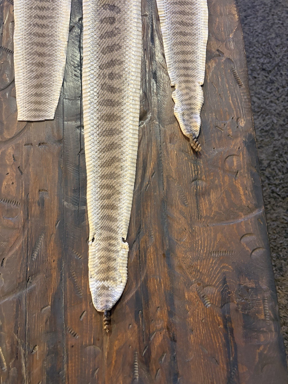 Prairie Rattlesnake Tanned Skins, Measuring 34", 40". 32.5" & 34"