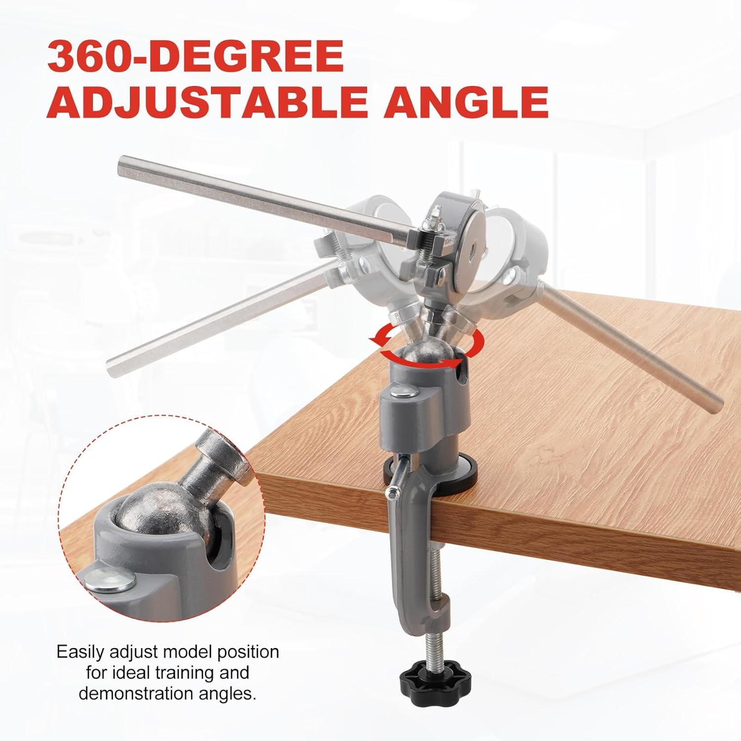 Dental Typodont Mounting Pole 360° Rotating Dental Simulator not Teeth Model