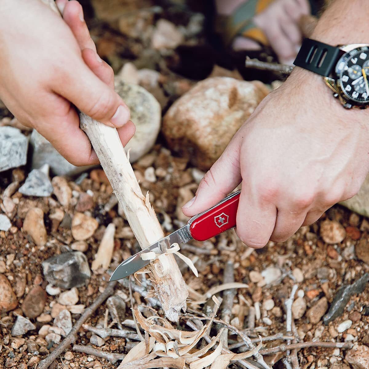 Victorinox Tweezers, Small pack of 6