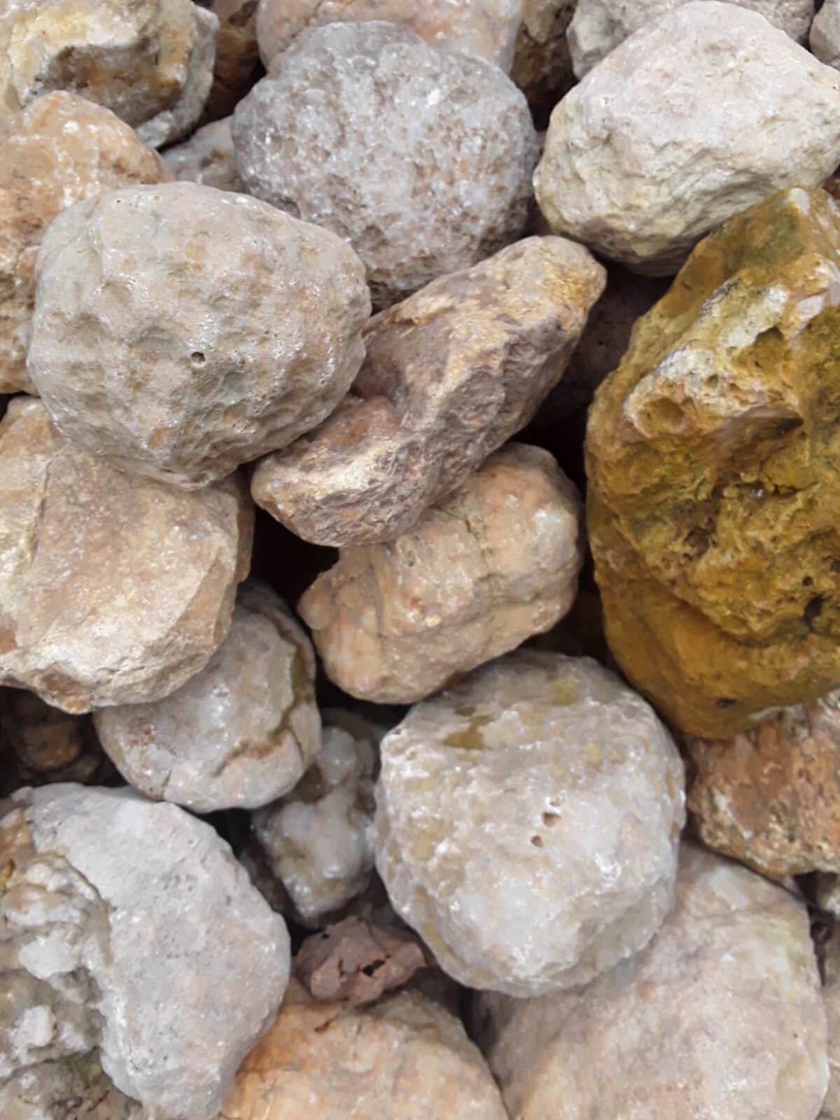 5 lbs Premium Kentucky Uncut Geodes Agates Nodules Lapidary Quartz Crystals Sale