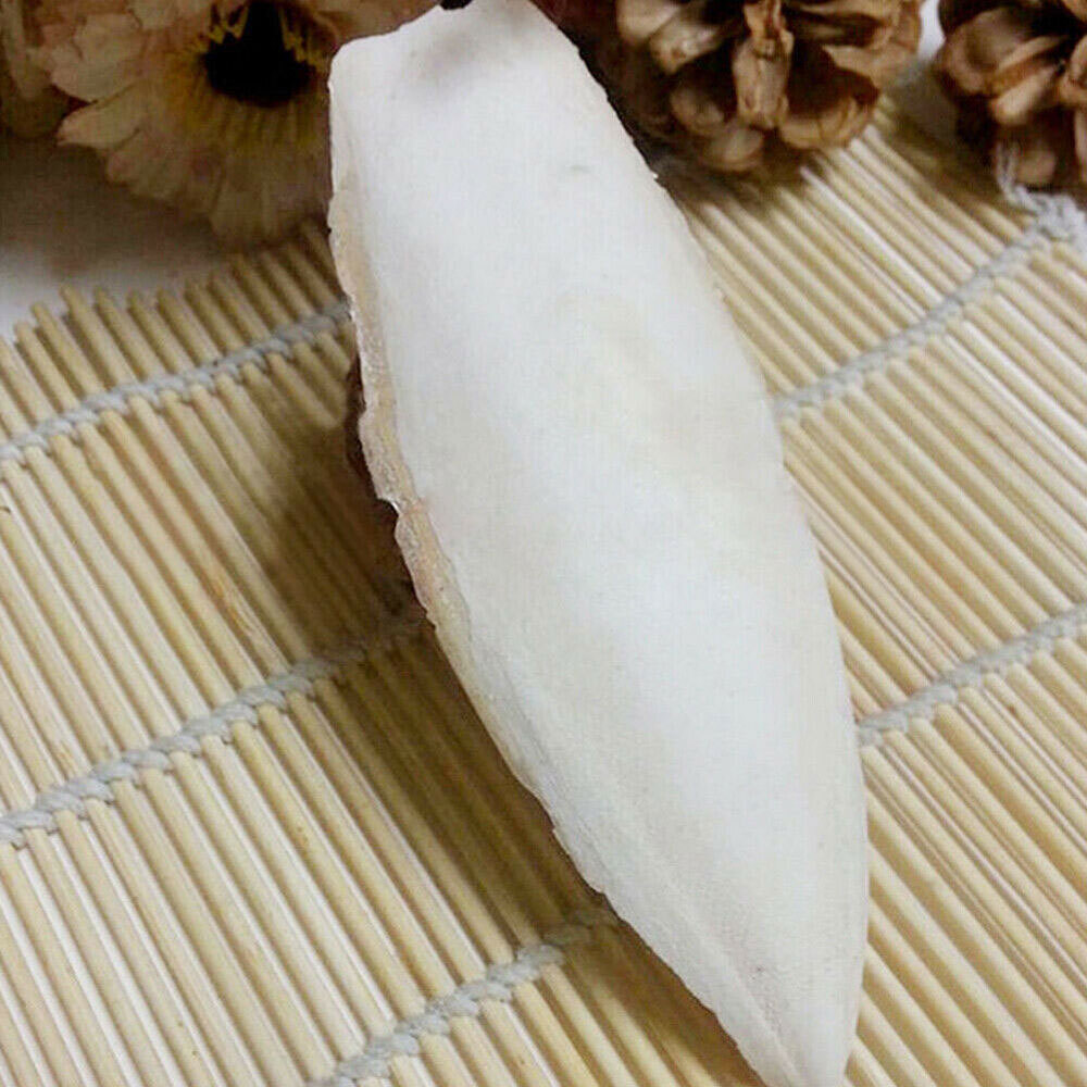 10/20PC Cuttlebone Cuttlefish Bone Sepia Cuttle Fish Pet Bird Food Calcium set^