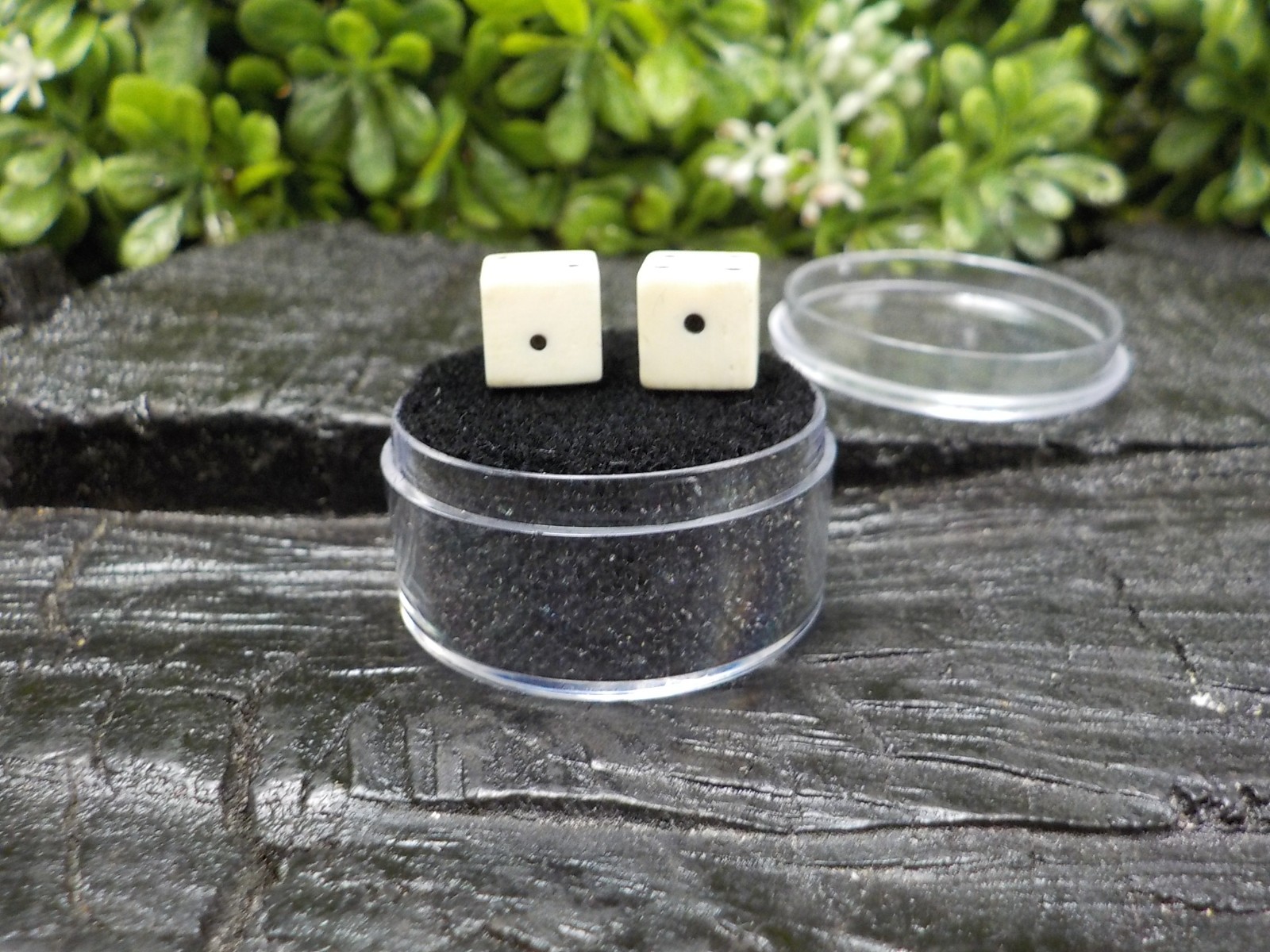 Old Rare Vintage Antique Civil War Relic Bone Dice Set Extremely Rare Free Case