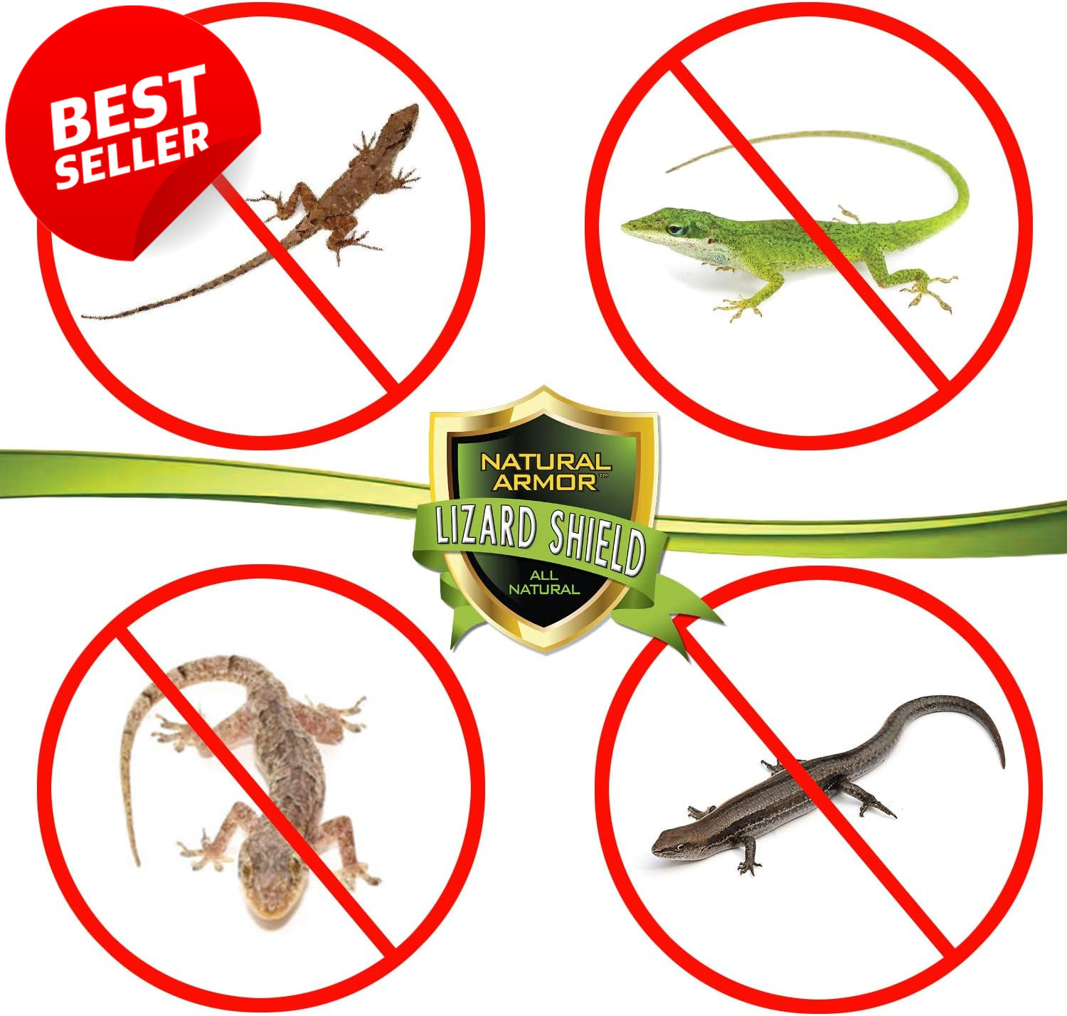 Lizard & Gecko Repellent Spray 128oz Peppermint Gallon Ready to Use - US