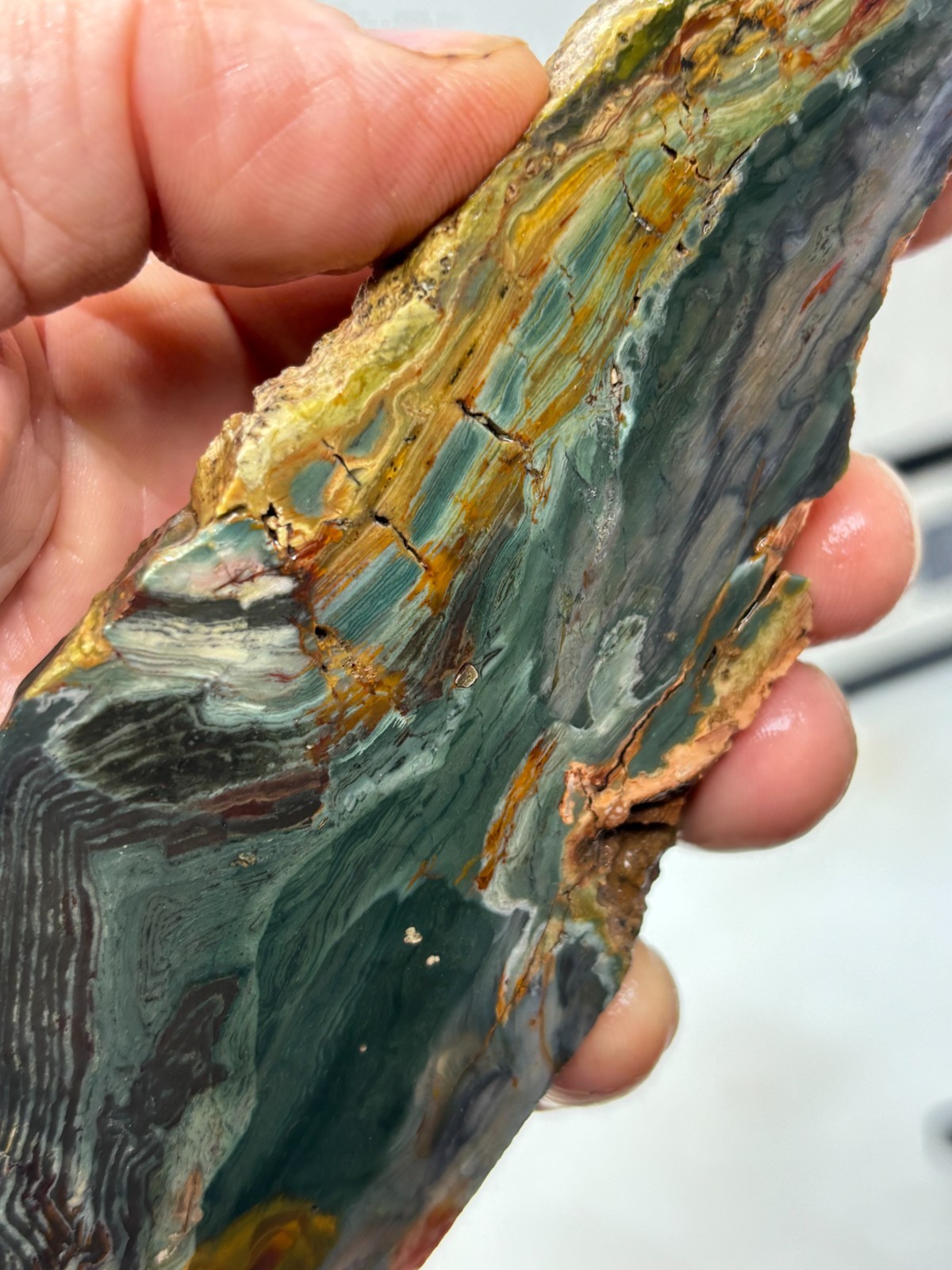 Gary Green Caldera Freedom Jasper Slab Cabbing Lapidary Combo Ship Avail