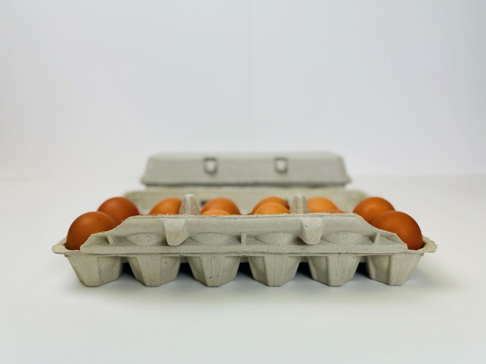 Non-Printed Egg Carton - 100 units