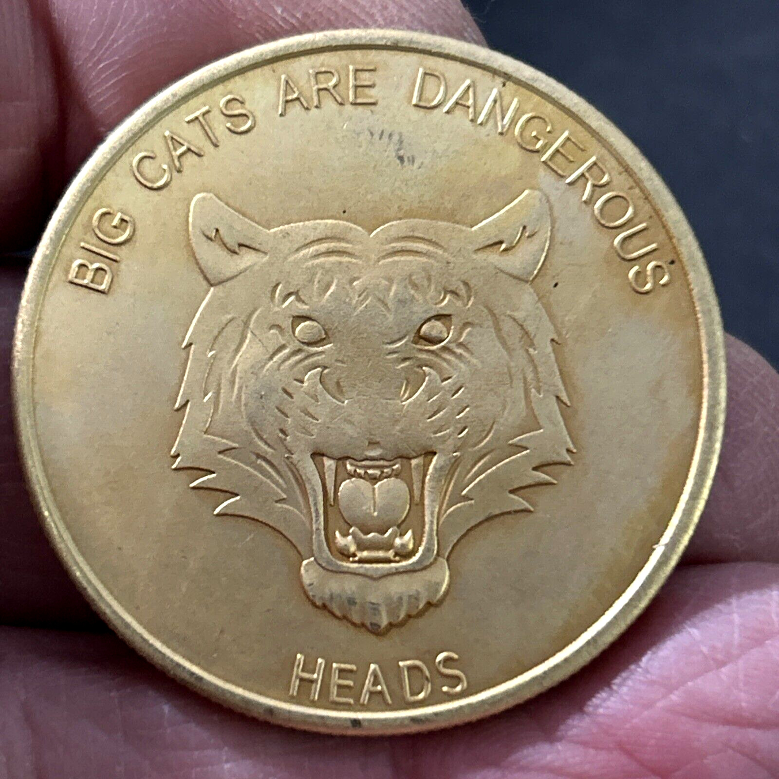 Sexy Girl Good Luck Adult Flip Heads Tails Token Pocket Coin💥SEE PHOTOS!