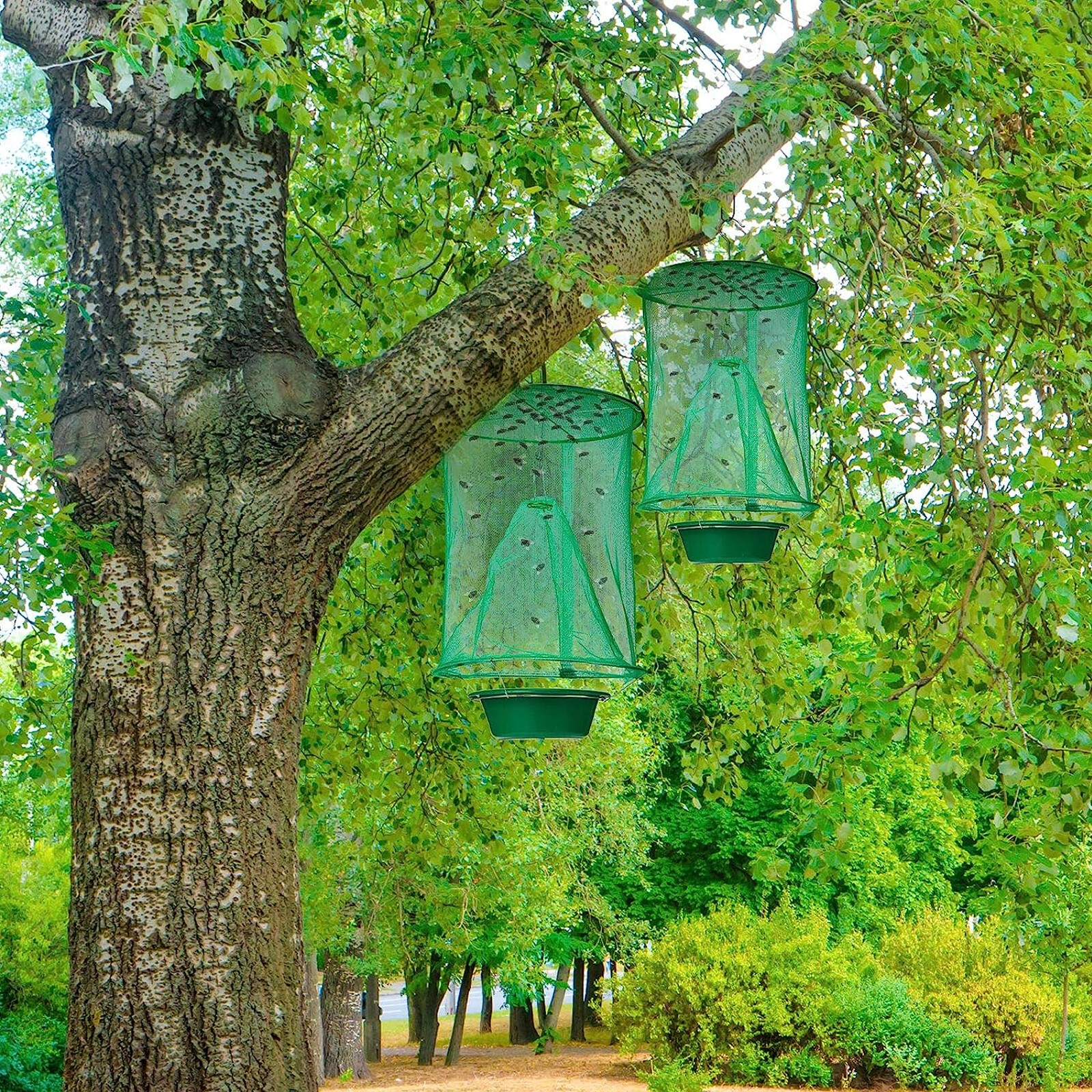 200X Ranch Fly Trap Reusable Hanging Fly Traps Outdoor Flay Catcher Cage Net Lot