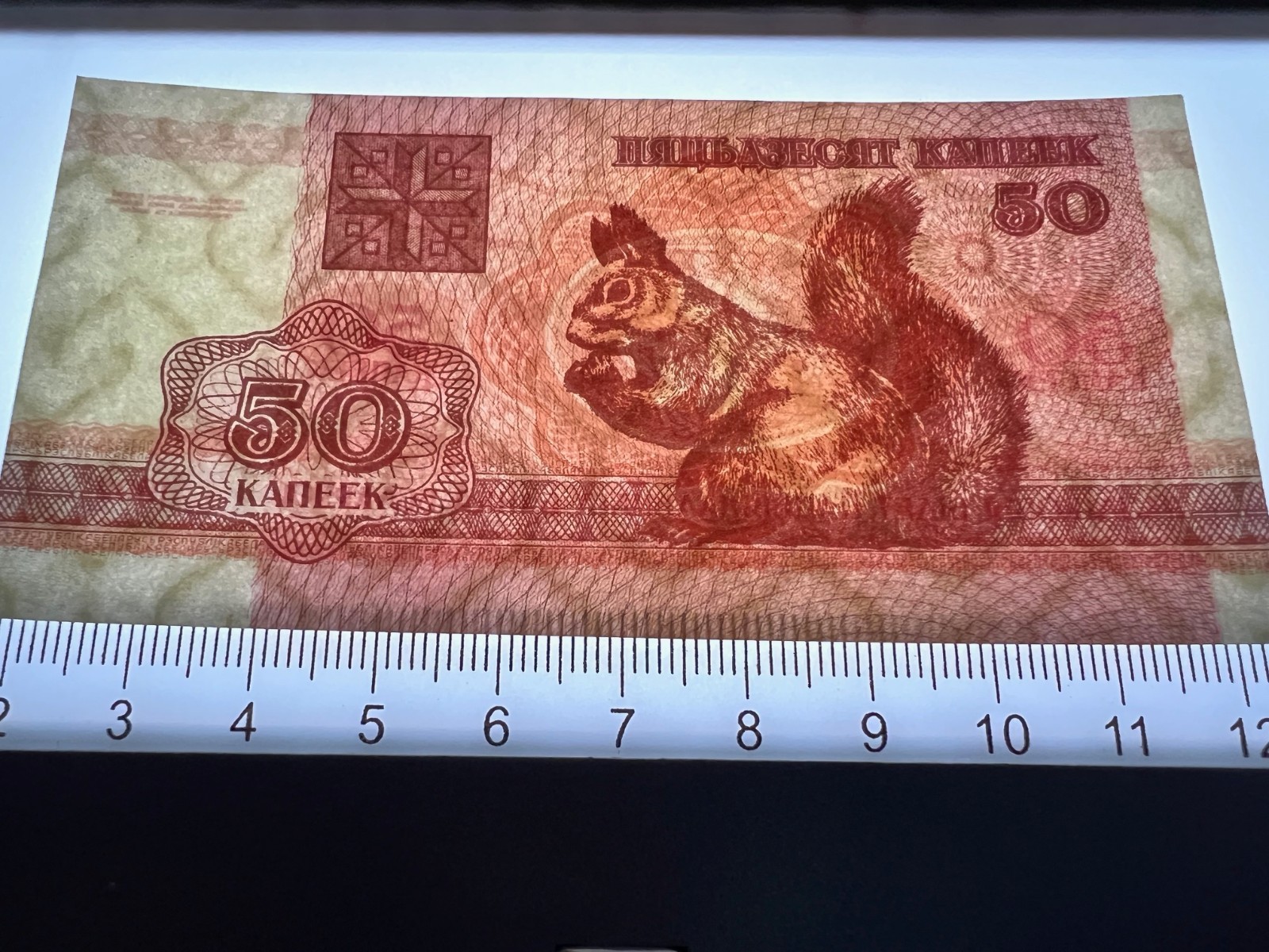 50 Banknote World Paper Money Lot Set Currency Collection Cash Variety Pack