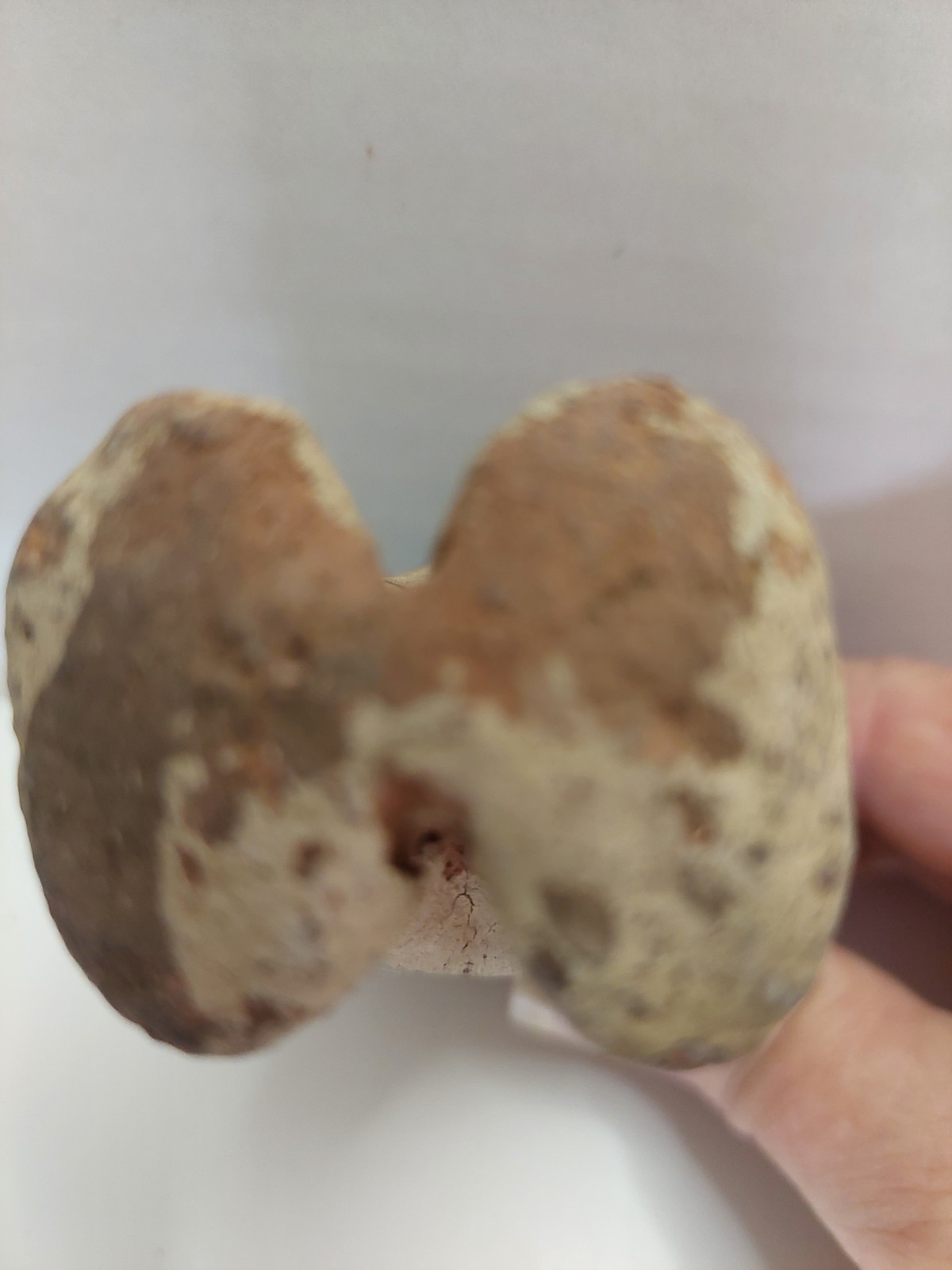 Pre-Columbian Chancay Peruvian Slip Painted Pottery Cuchimilco Figure 1200-1450