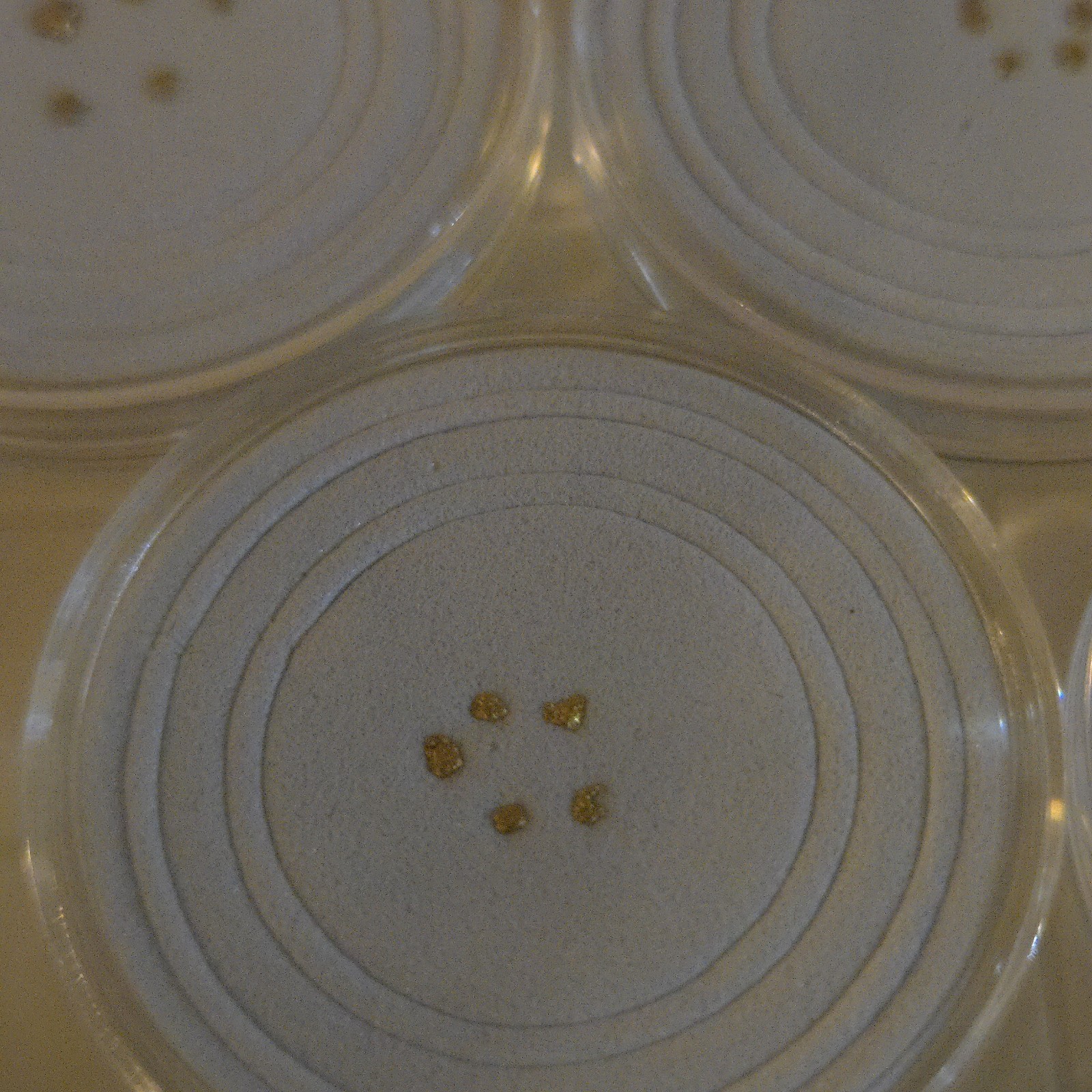 Beautiful 25 Mesh Natural Gold Nuggets (5 Piece Lot) In Unique Gift Box