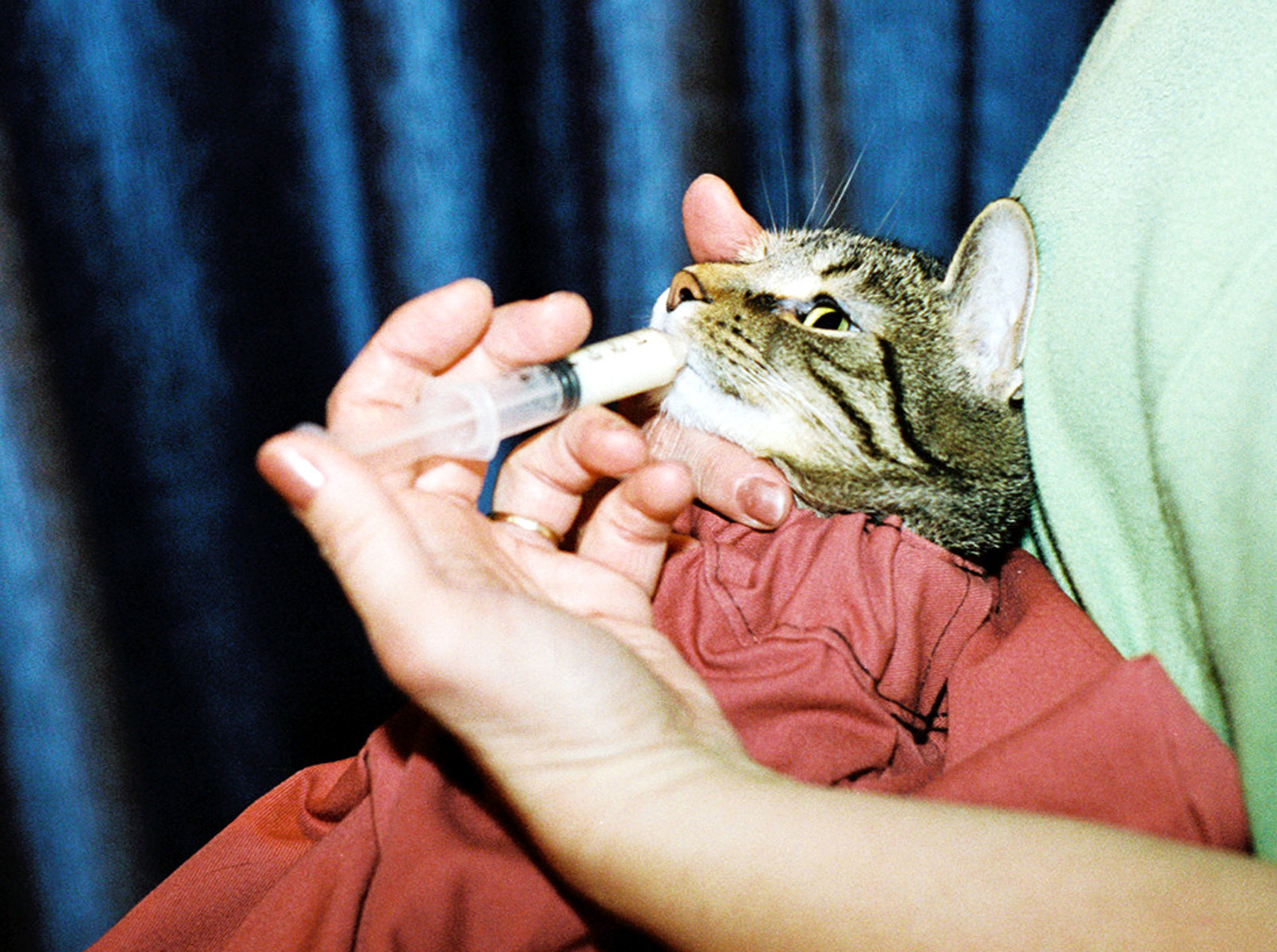 Cat-in-the-bag Cozy Comfort Carriers Gently Used