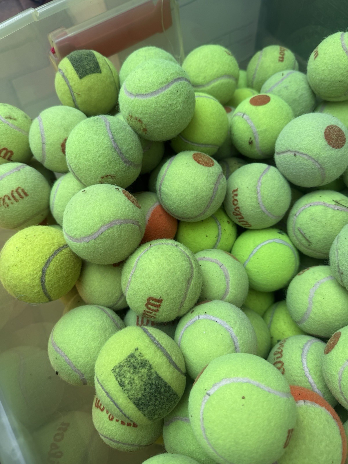 10 of Good Grade used Tennis Balls from Wilson, Dunlop, Penn, Head, etc Dog Toys