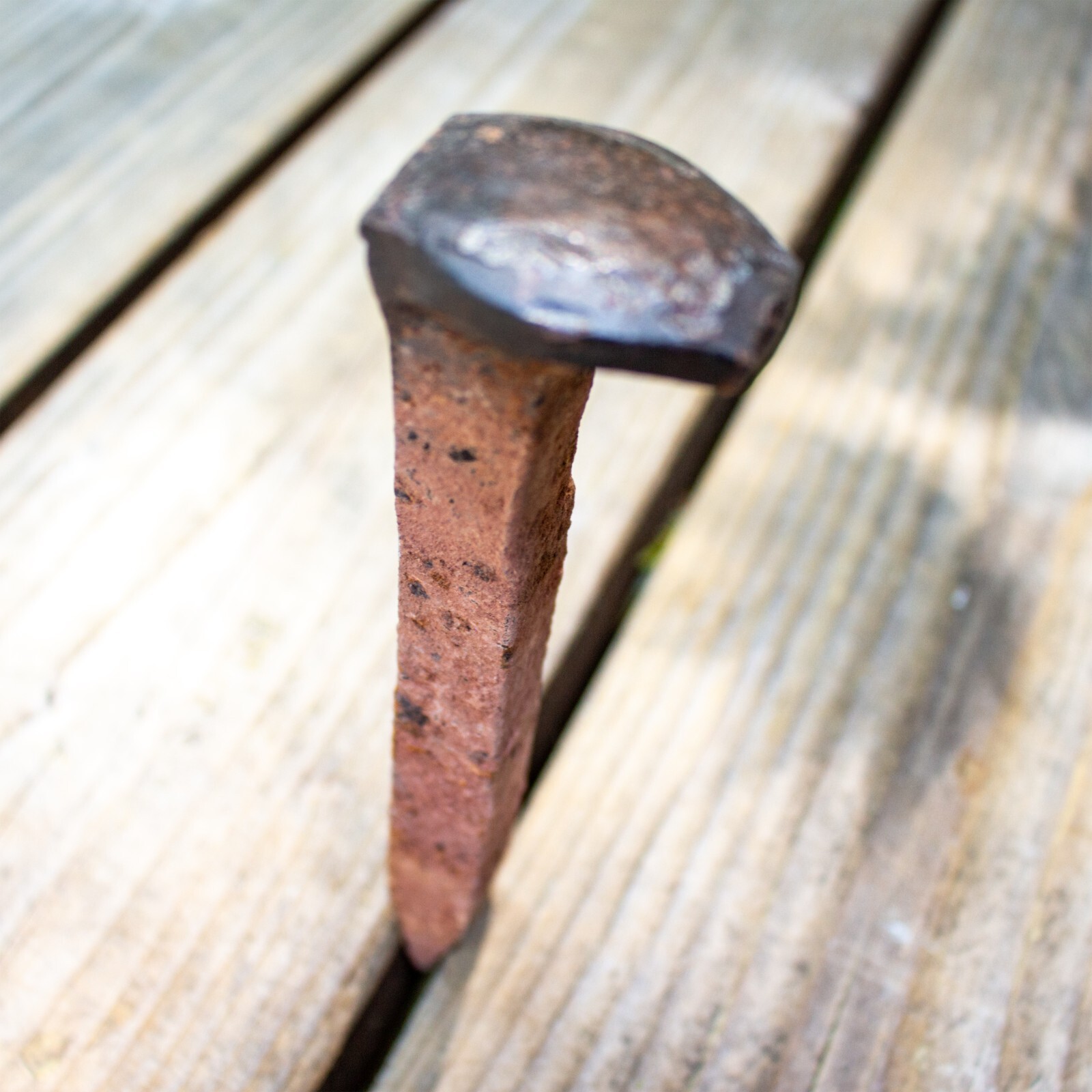 Grandpa 1870 Antique Square Nail used for Goldmine West Rim Grand Canyon Arizona