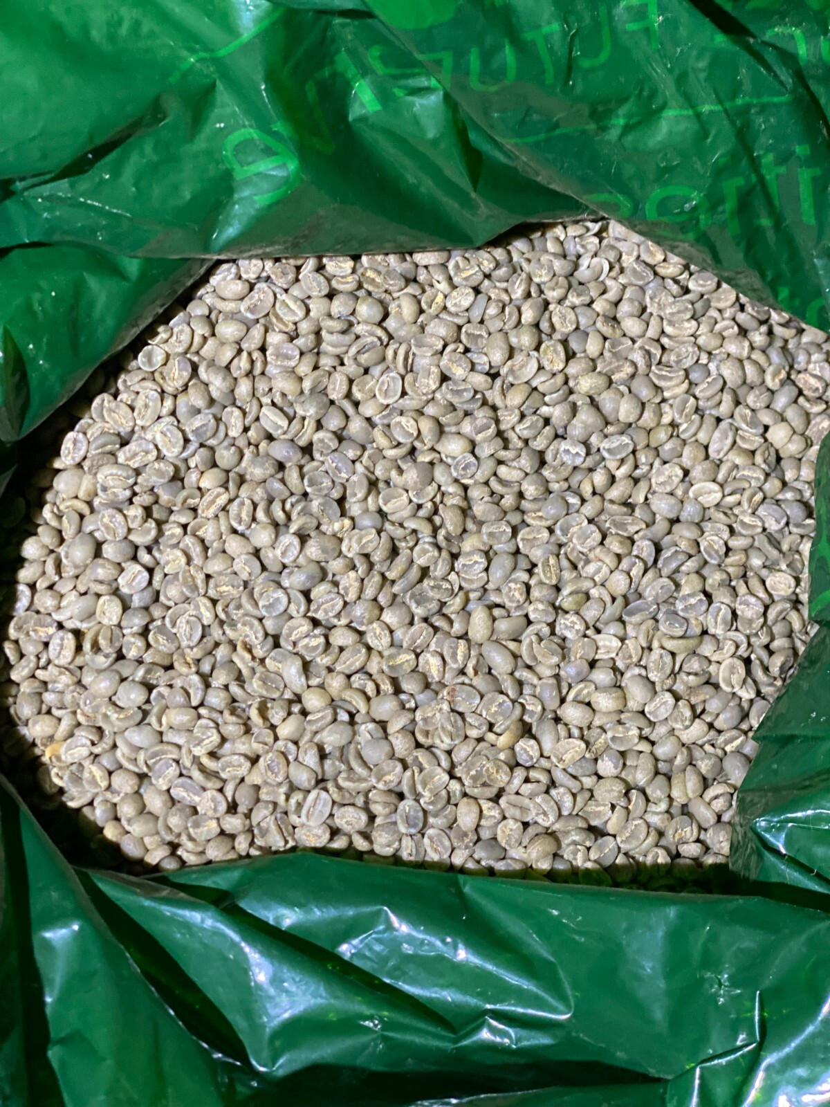 Kenya AA Specialty Grade of Premium Arabica Green Coffee Beans