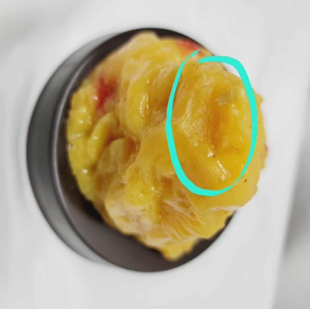 Vintage Human Adipose Tissue Replica Model Of 1lb Of Fat