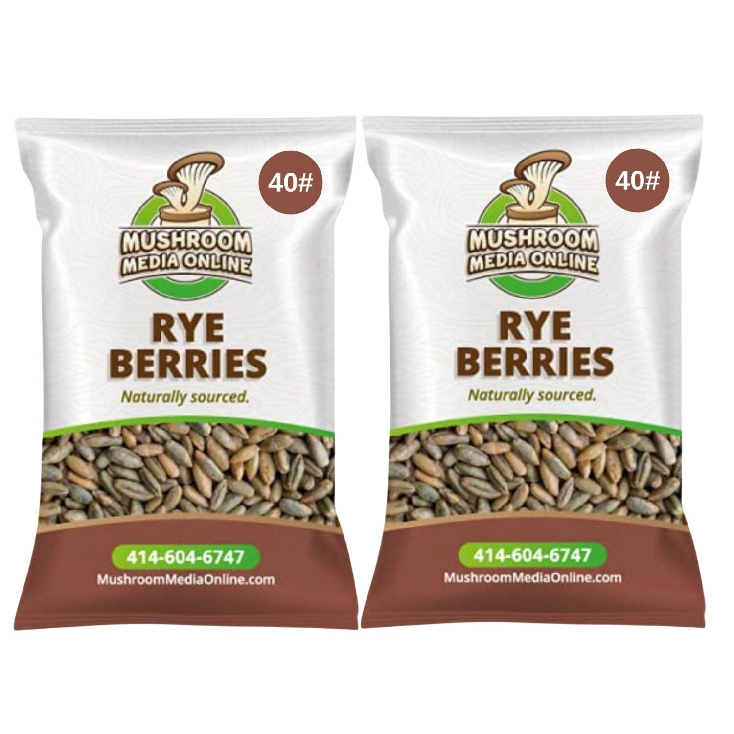 MushroomMediaOnline Whole Rye Berries