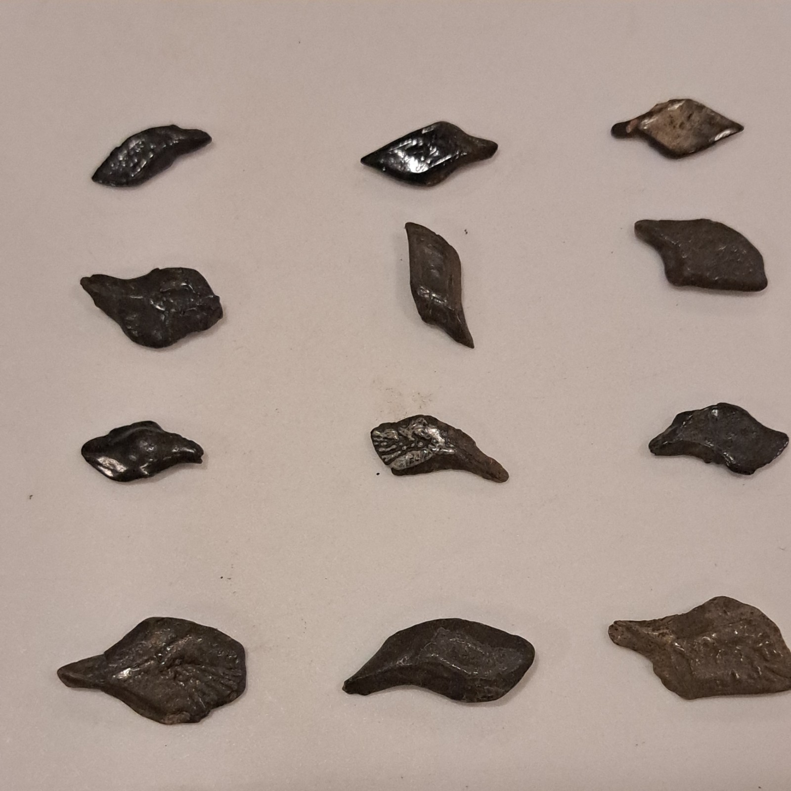 44 ALLIGATOR GAR SCALES FLORIDA FOSSILS ICE AGE EXTINCT FISH BONES TOOTH TEETH @