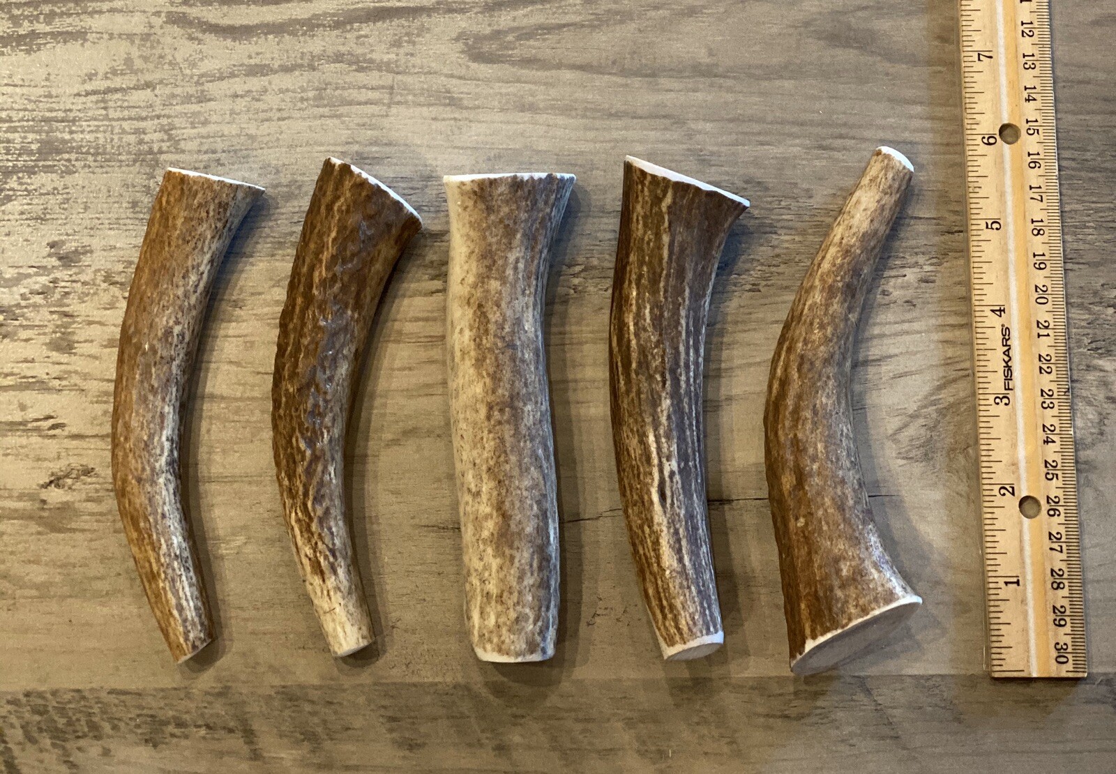 (3 PACK) MEDIUM Elk/Deer Antler Premium Dog Chews **OREGON ANTLER WORKS**