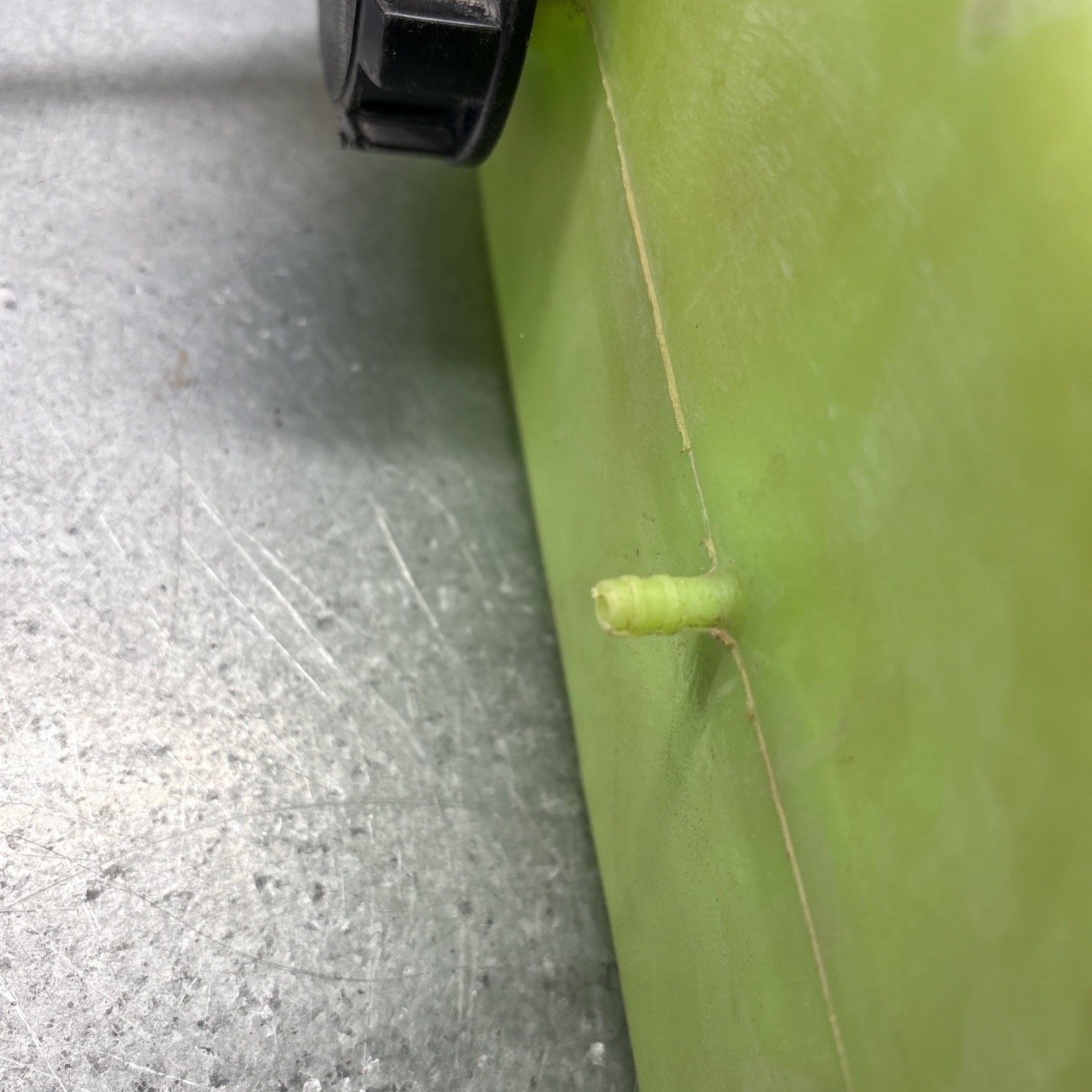 Kawasaki OEM 1981 1982 1983 KLT200 KLT 200 Gas Fuel Tank 51001-4003