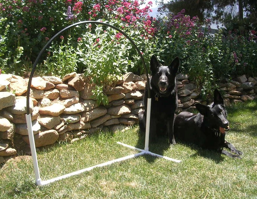 6 NADAC Hoopers Arched Hoops Dog Agility Equipment