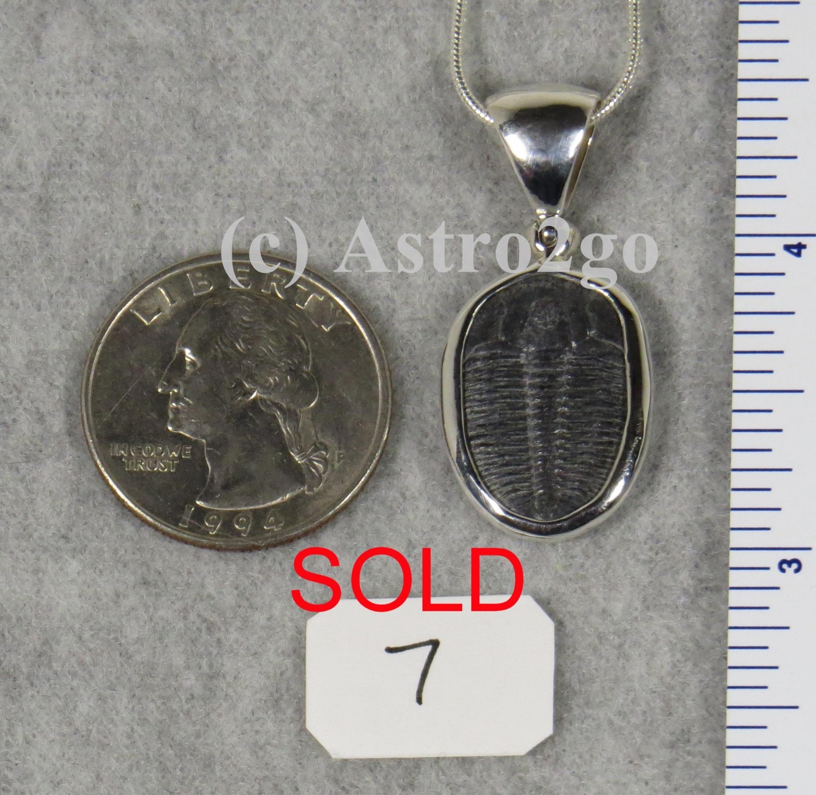 Elrathia Kingii TRILOBITE PENDANT $55 Sterling Silver Jewelry STARBORN CREATIONS