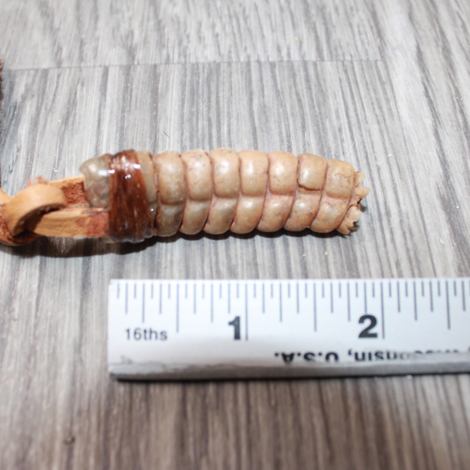 Very Large Rattlesnake Rattle Necklace #6663 Mountain Man Necklace