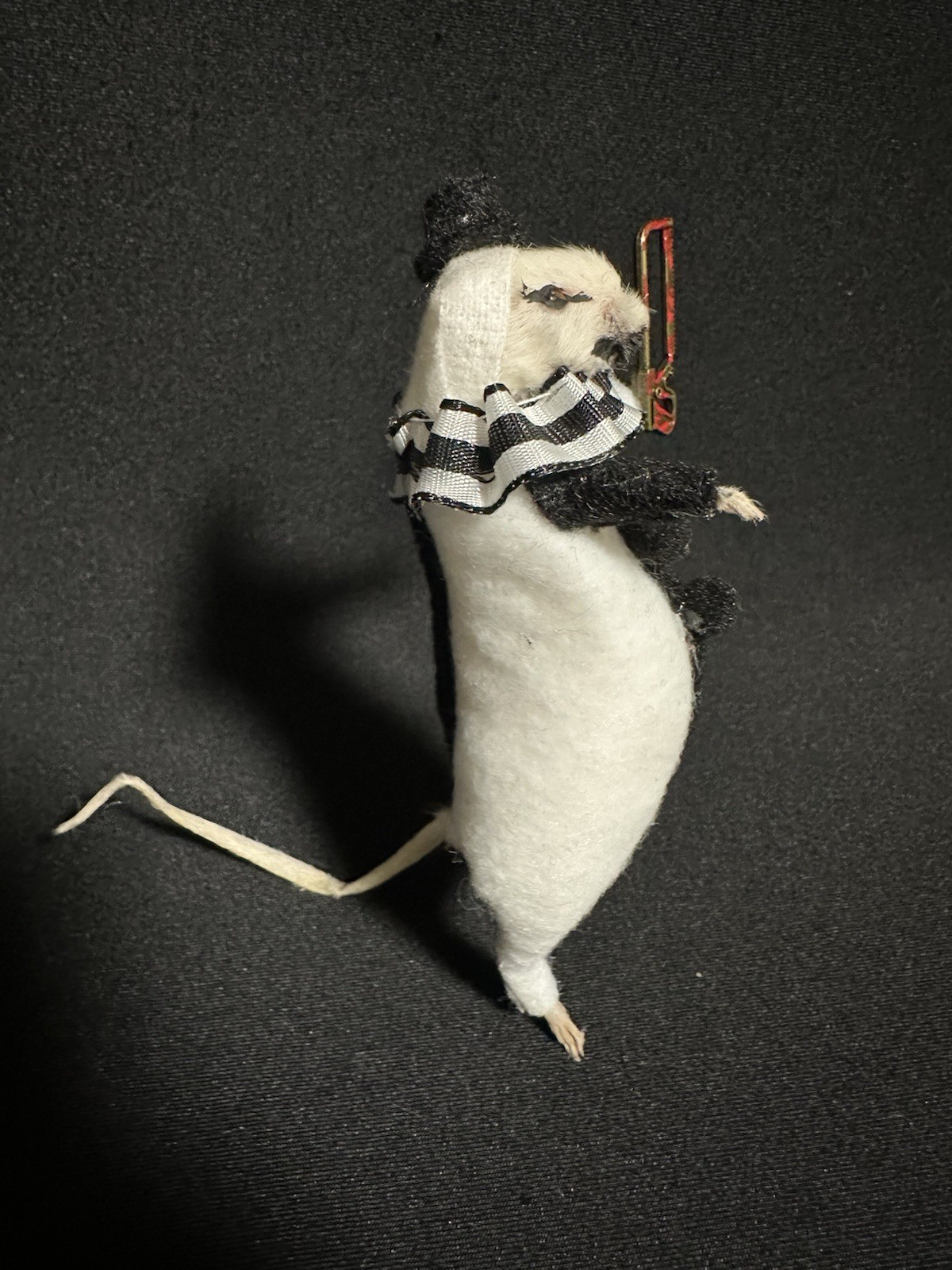 Taxidermy Mouse The Terrifier Mouse Oddities Curiosities Taxidermy Art