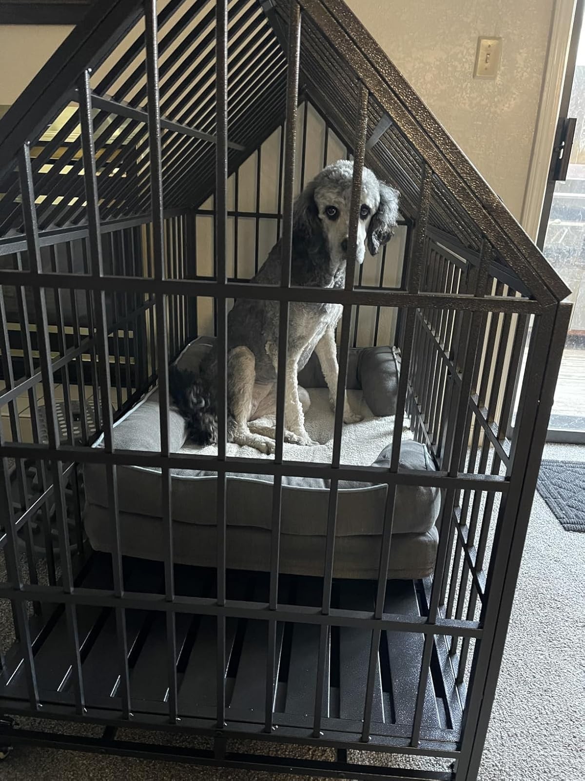 54'' Indestructible Heavy Duty Dog Crate Cage Kennel with 2 Bowls and 4 Wheels