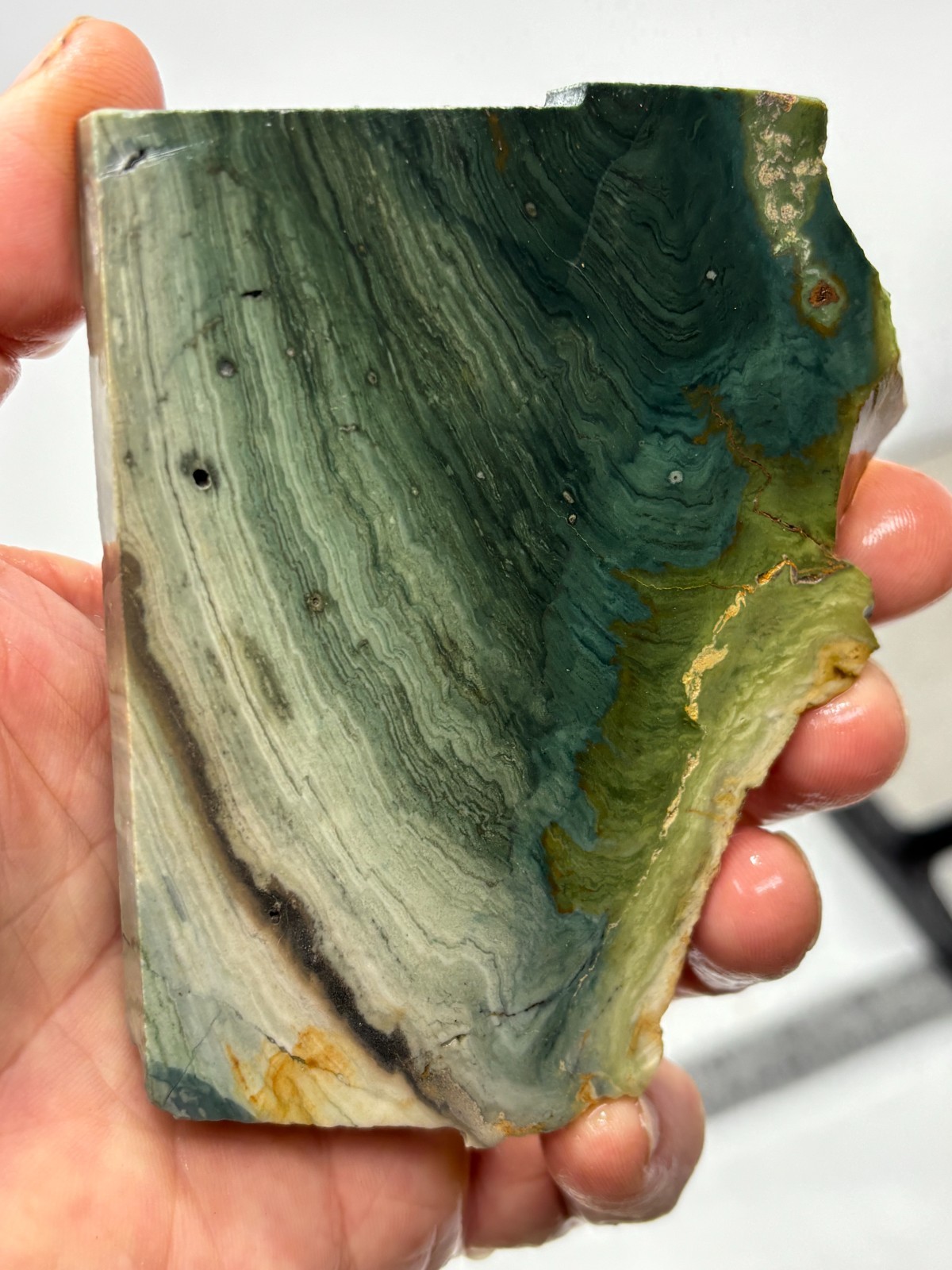 Gary Green Caldera Freedom Jasper Slab Cabbing Lapidary Combo Ship Avail