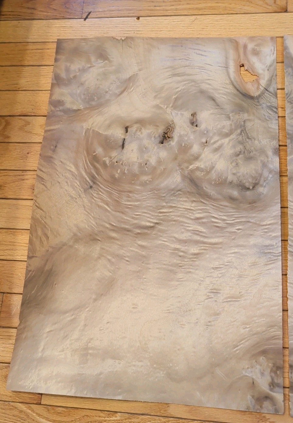 Myrtlewood veneer 26" x 16" guitar Luthier 1/42" wood flame burl holes