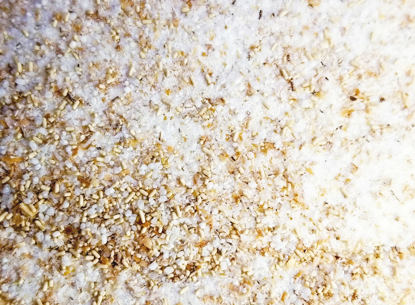 Organics Digester Bacteria Reduce Sludge Ammonia Nitrite Pond treats 55,000 gal