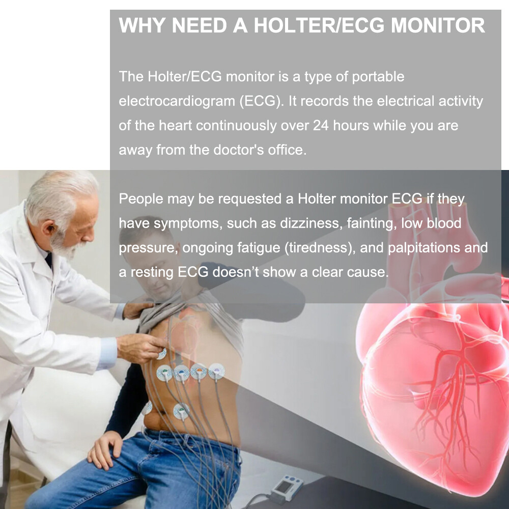 12 lead Holter Monitor 24h Portable with AI analysis software for Mac & Windows