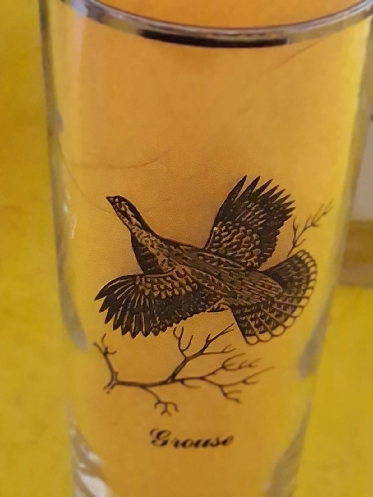 VINTAGE WATERFOWL GAME BIRDS SET OF 7 SILVER RIMMED BARWARE 7" GLASS TUMBLERS