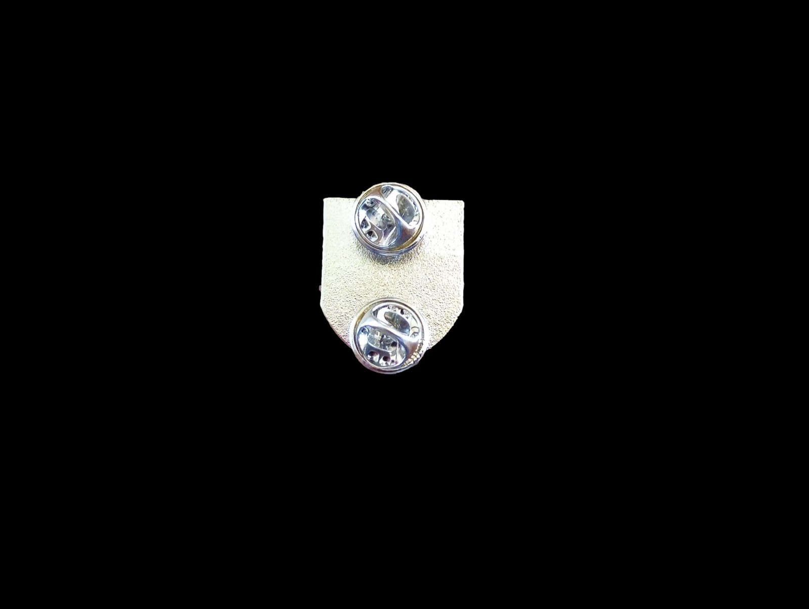 SKULL AND BONES HAT PIN LAPEL DOUBLE POST PIN NEW IN BAGS