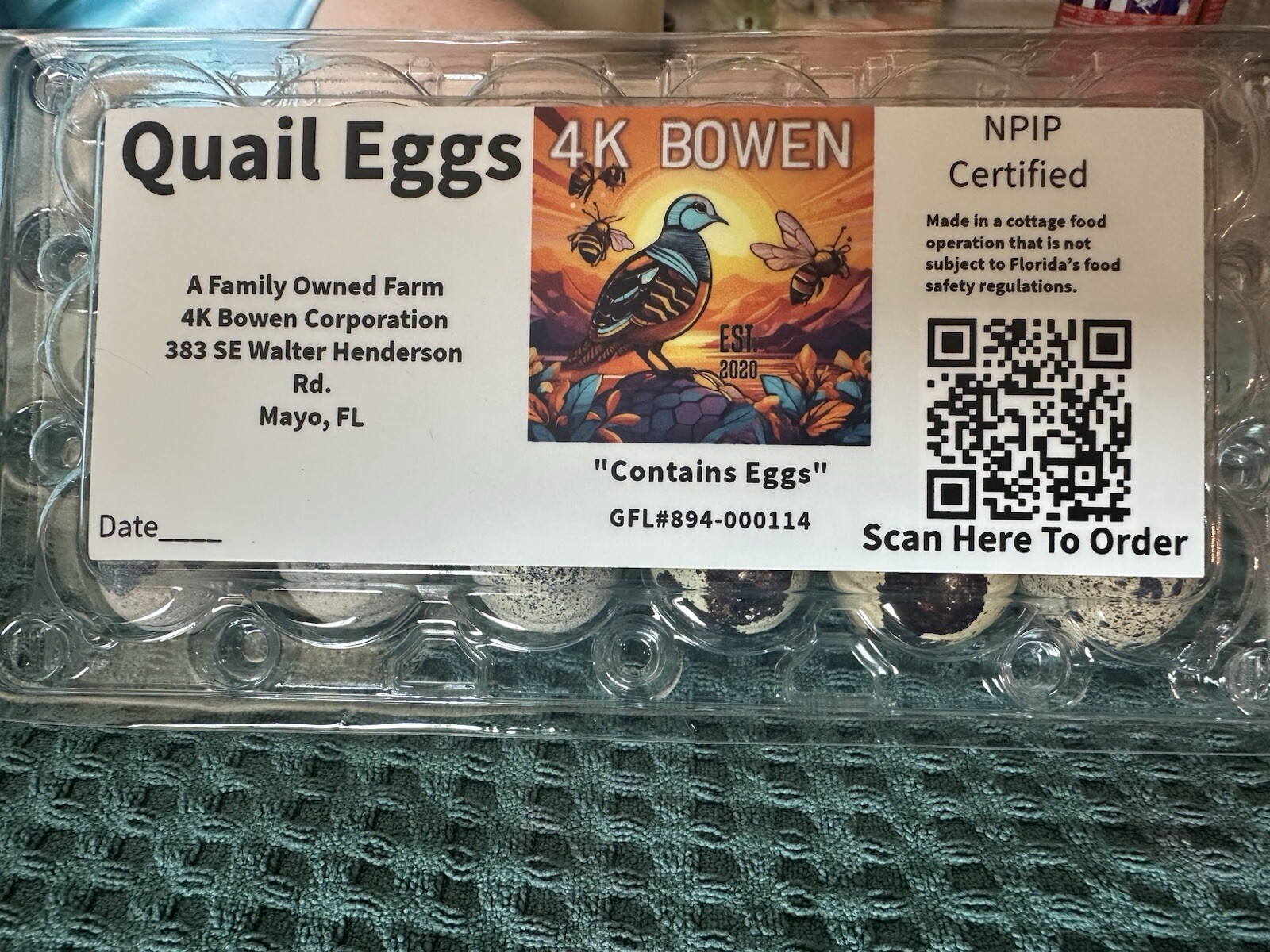 36 Coturnix Quail Fertile Hatching Eggs, NPIP Certified Game Farm