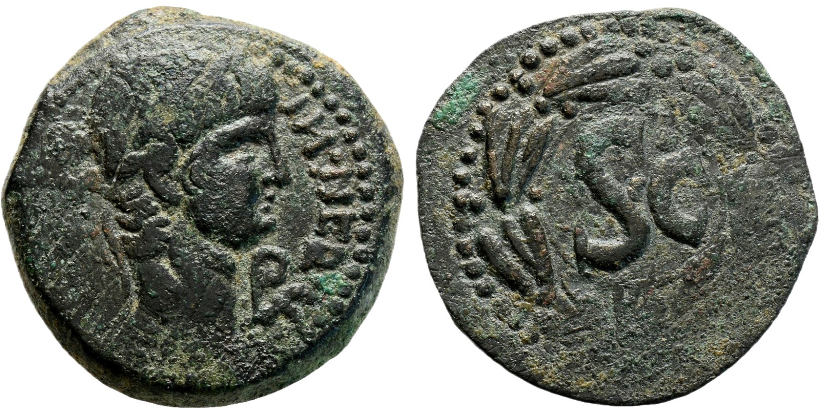 Roman Provincial Bronze Coin - Antioch Seleucis and Pieria 54-68 AD - Nero