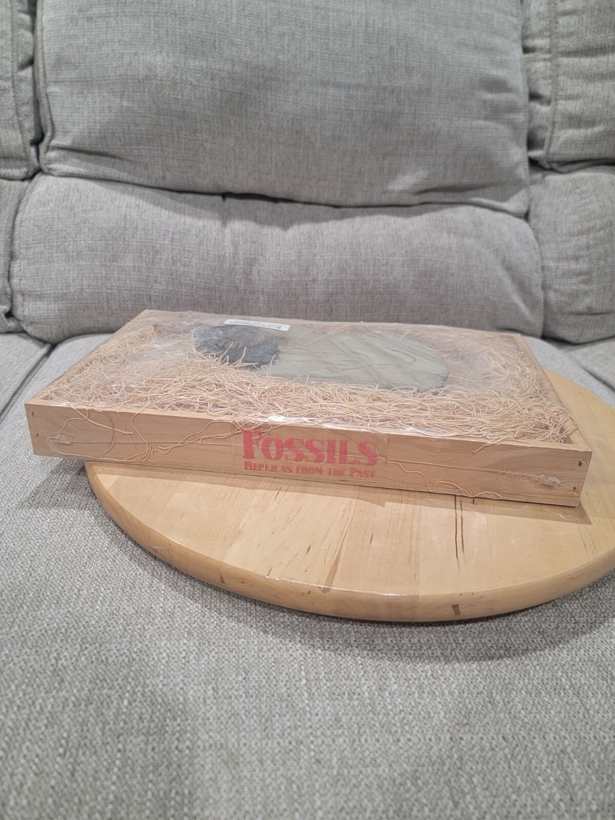 GeoCentral Keichousaurus, Ammonite, Raptor Claw - Fossils Replicas From The Past